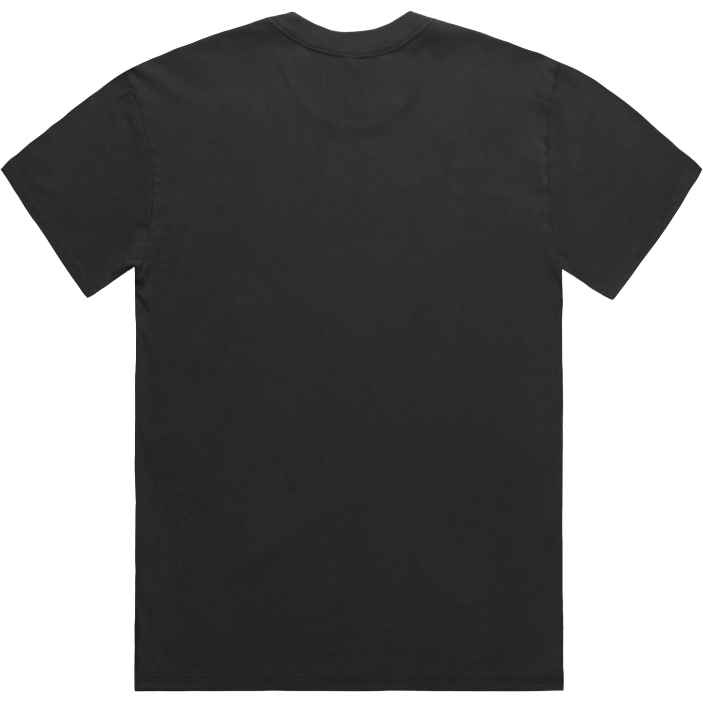 Ghosted T-Shirt: Faded Black
