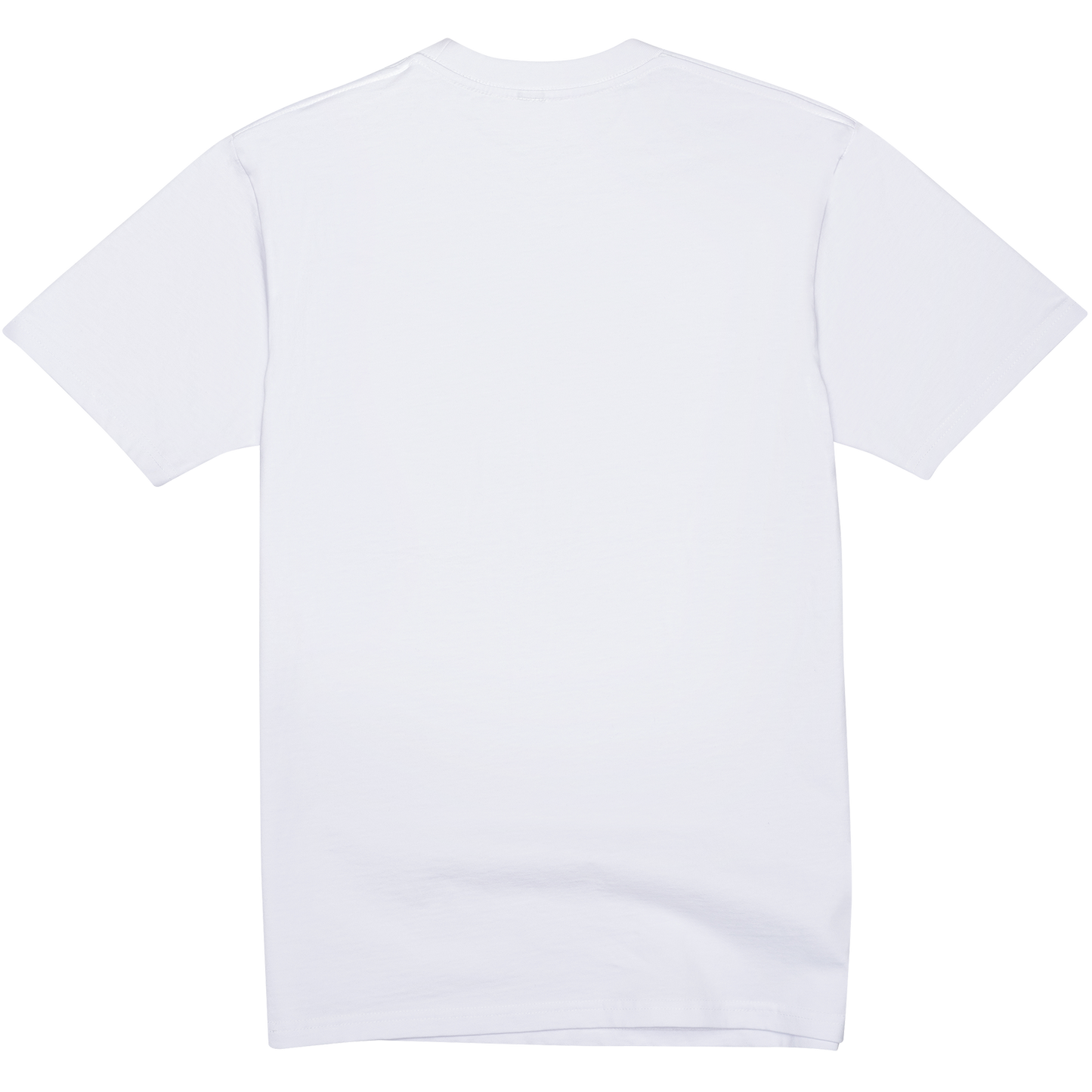 Ghosted T-Shirt: White